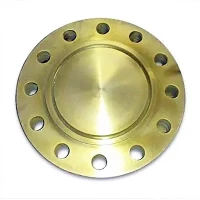 8" Class 600 RTJ Blind Flange ASTM A694 F60