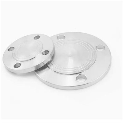 BS4505 RF Pn16 316L Blind Flange