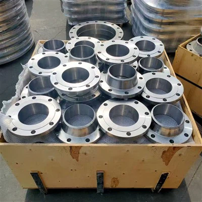 DN200 Class 150 304 WN RF Flange