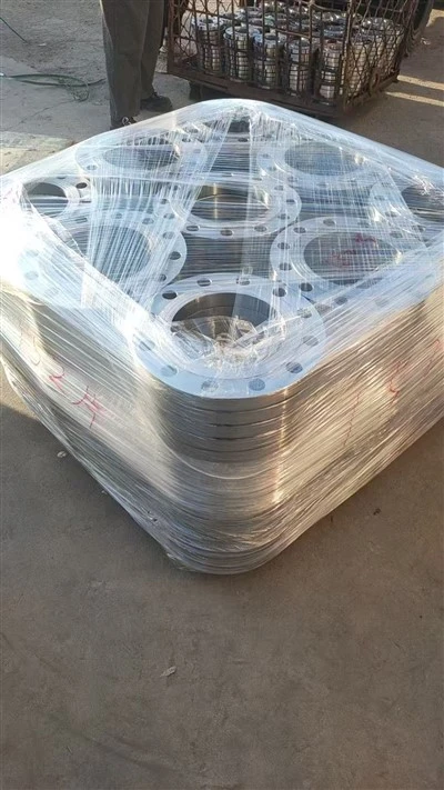 DN500 Socket Weld Raised Face (SO RF) 316 Stainless Steel Flange