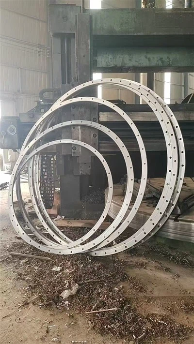Non-standard Large Diameter SS316 Flanges