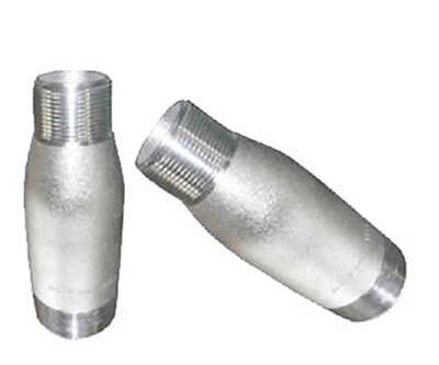 Stainless Steel Threaded Reducing Nipple – High Performance Stainless Steel Pipe Fittings